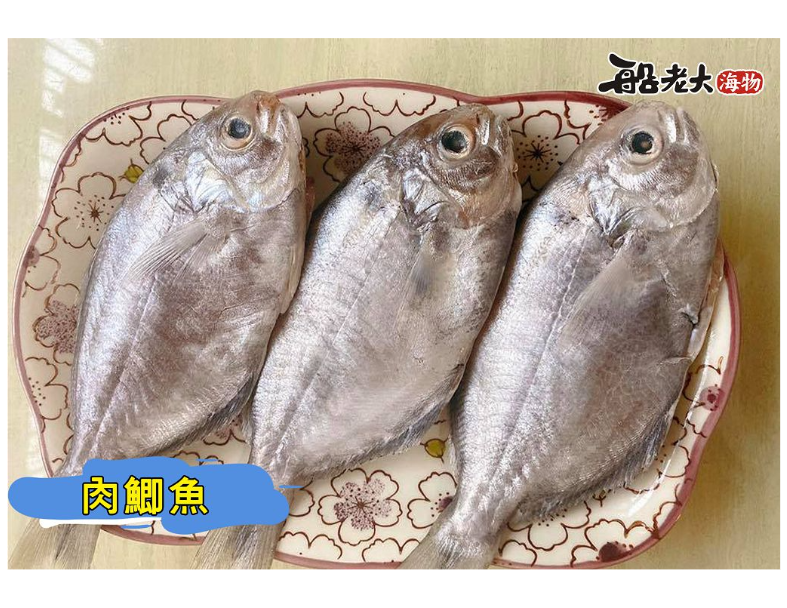 肉鯽魚